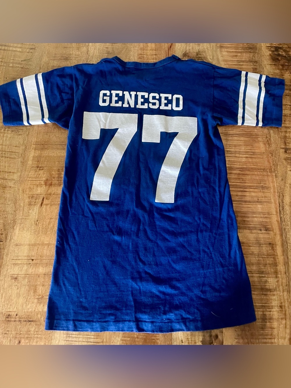 Vintage 1977 Geneseo School Tshirt-Size M
